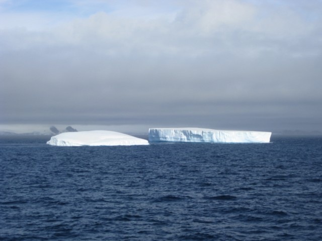 [IMG_0491640x4802.jpg]