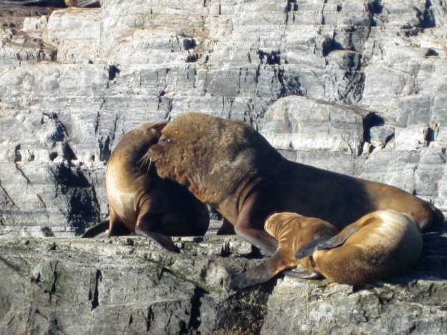 [IMG_1034640x4801.jpg]