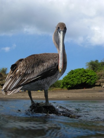 [IMG_1211800x6002.jpg]