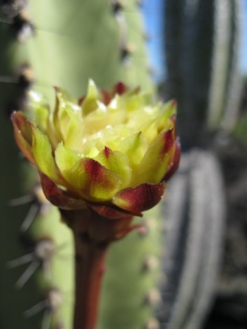 [IMG_0770800x6001.jpg]