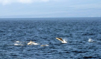 [IMG_1082800x600b1.jpg]