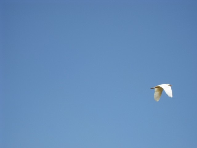 [IMG_0026640x4804.jpg]