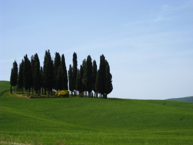 [IMG_1603640x480.jpg]