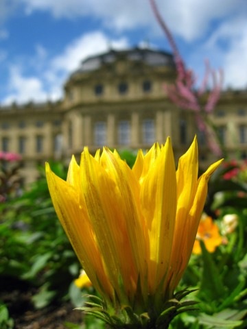 [IMG_2681640x4801.jpg]