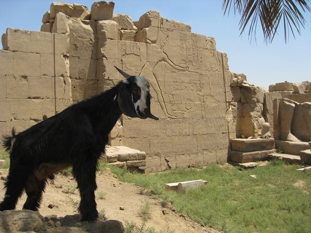 [IMG_7739640x4801.jpg]
