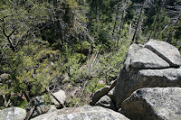 IMG_3972.JPG