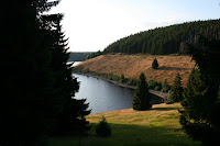 IMG_4374.JPG