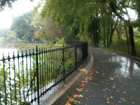 IMG_0871.JPG Photo