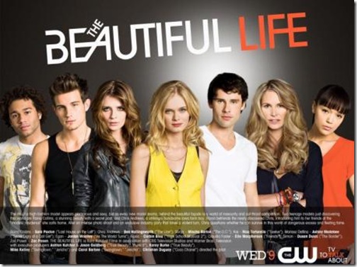 338ef0548933a9e5_the-beautiful-life-cast-poster_455x339[1]