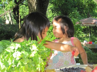 august 11 2009 28
