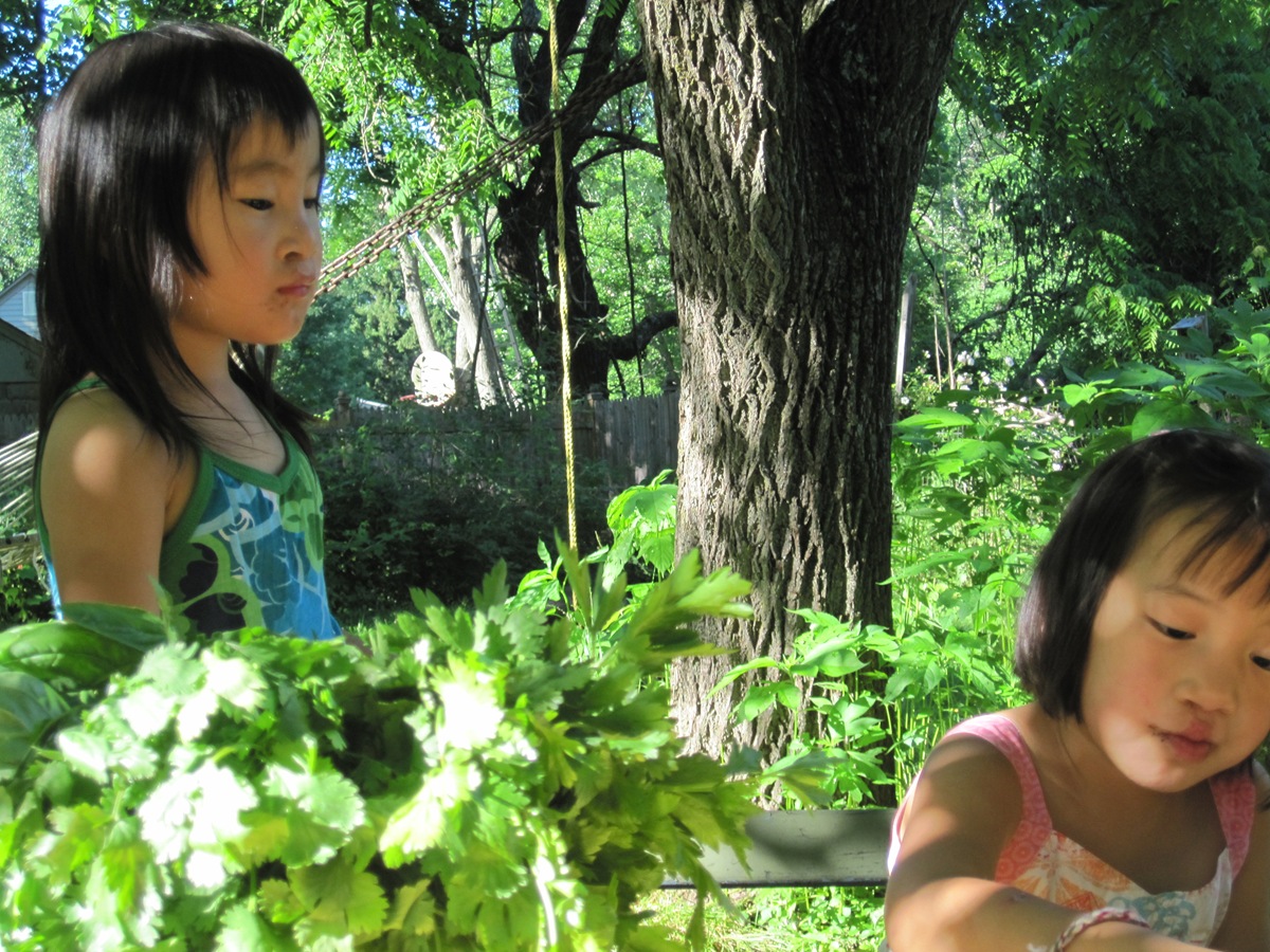[august 11 2009 29[2].jpg]
