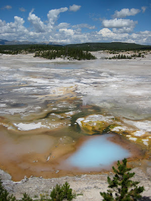 ynp5