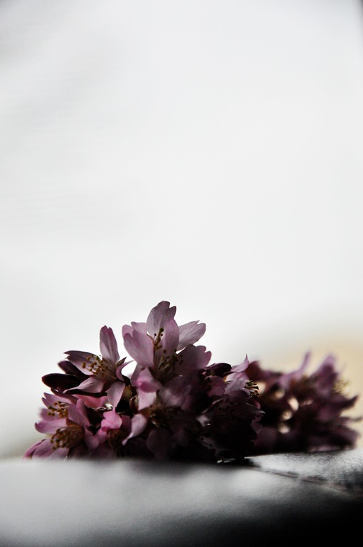flowers_edited-1