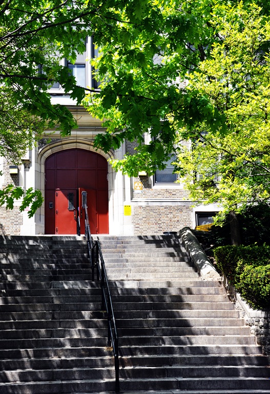 chestnut hill
