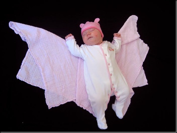Lindas imagens de bebezinhos (8)