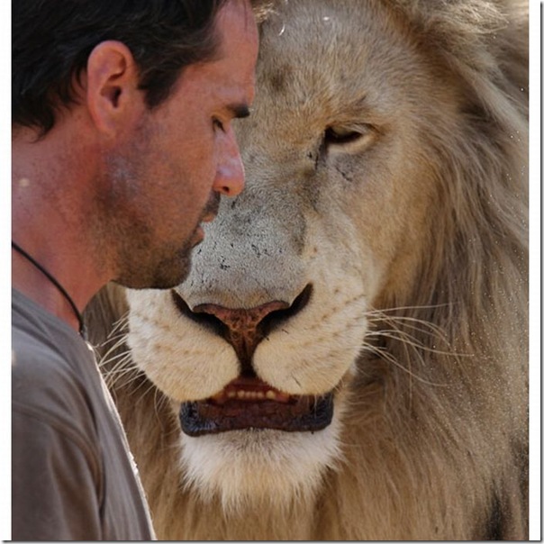 Kevin Richardson, O encantador de leões (3)