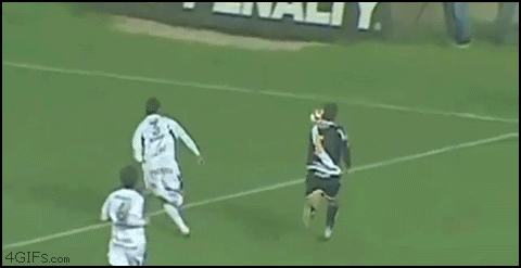gif_05 gif_05