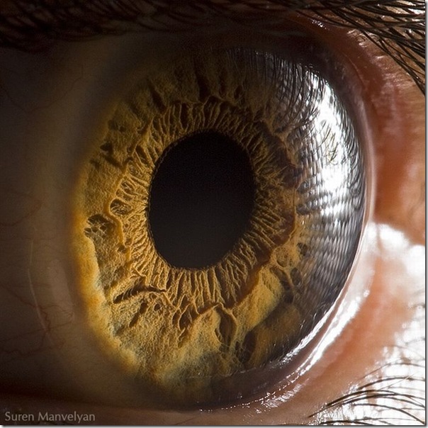 Fotos macro de olhos humanos (1)