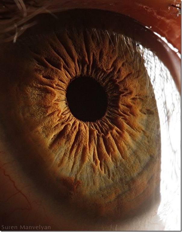 Fotos macro de olhos humanos (14)