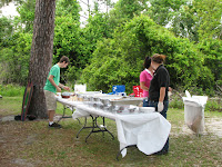 IMG_2915.JPG