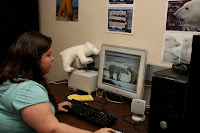 IMG_0265_2-2.jpg