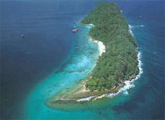 [lgkawi1[3].gif]