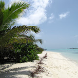 Maldives 2010 Yasawa Princess Cruise