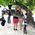 Kuda Bandos Gear Tree!