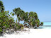 Theluveliga Island