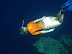 Snorkel Queen
