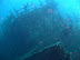 Kuda Giri Wreck dive