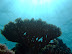 A view from the blue