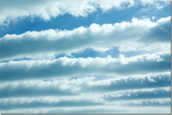 _MG_8207%281%29_thumb%5B2%5D.jpg?imgmax=