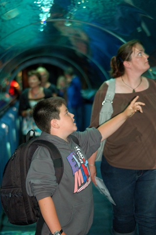[DSC_6674[2].jpg]