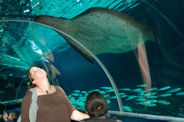 [DSC_6678[2].jpg]