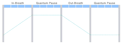 Quantum Pause Short