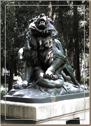 lion
