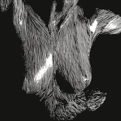 [634141017277201250[2].jpg]