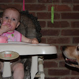 Maybe she'll drop a bite for me!