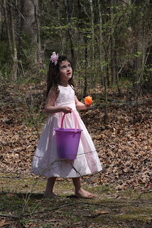Is that an egg in the TREE?!?