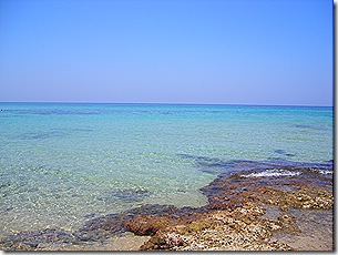 IMGP0545