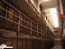 Alcatraz!