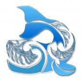 [Whale[5].jpg]