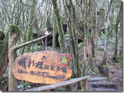 IMG_2903 IMG_2903