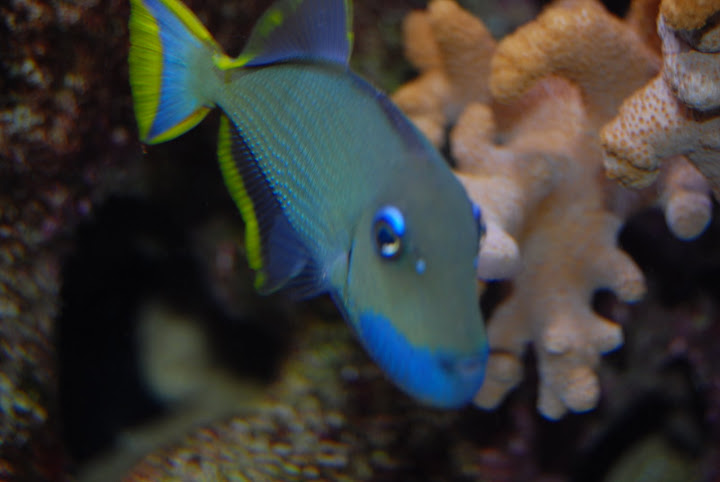 DSC_1227.JPG