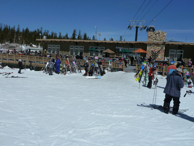P1000175.JPG
