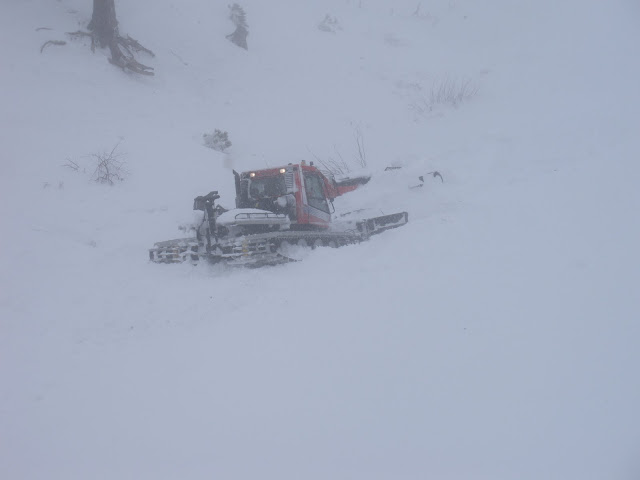 DSCN0410.JPG
