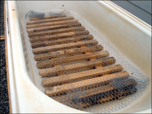 [worm_farm_mesh4.jpg]