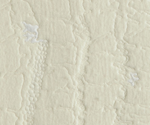 [howdeshell-density-1-detail-web[2].jpg]