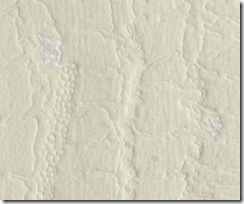 howdeshell-density-1-detail-web